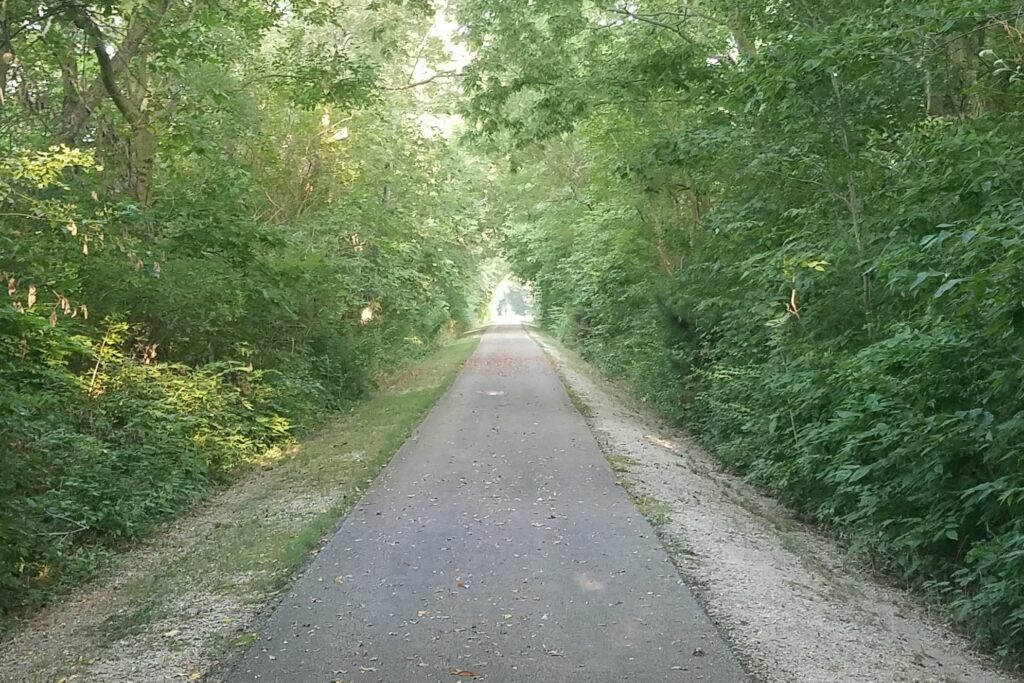 Photograph of a paved trail with trees on either side.